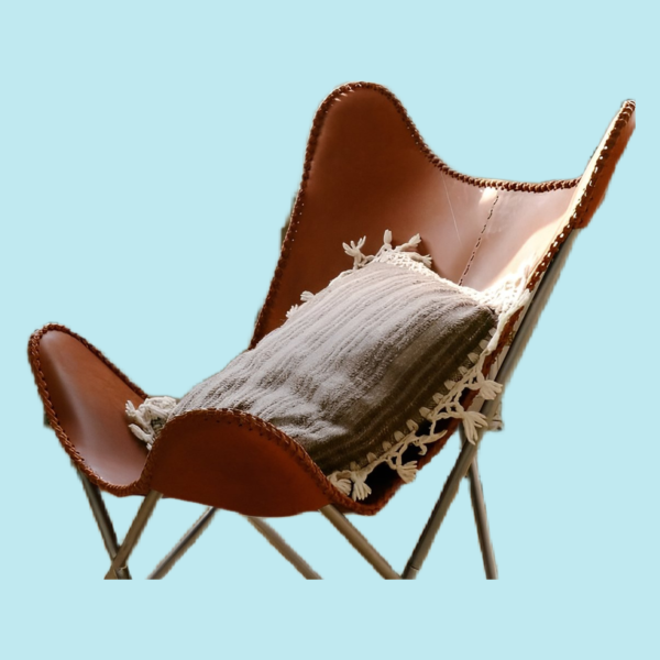 Leather-Clad Leisure Chair